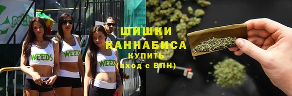 гидра Богданович