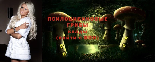 гидра Богданович