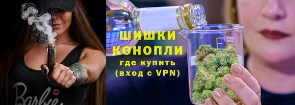 гидра Богданович