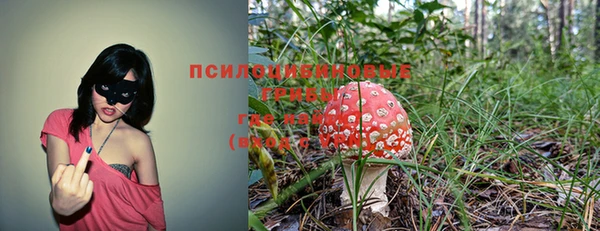 2c-b Богородск