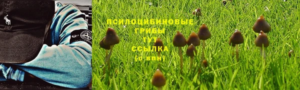 прущая мука Богородицк