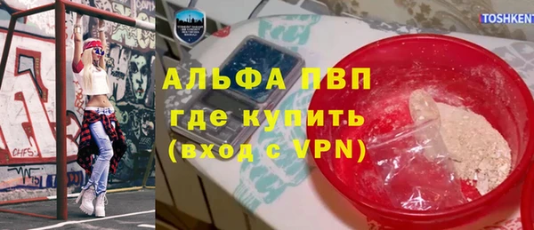гидра Богданович