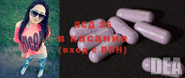 гидра Богданович