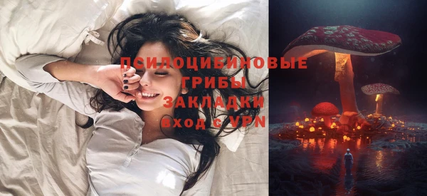 прущая мука Богородицк