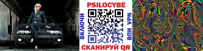 наркота  Дрезна  Галлюциногенные грибы Psilocybine cubensis 